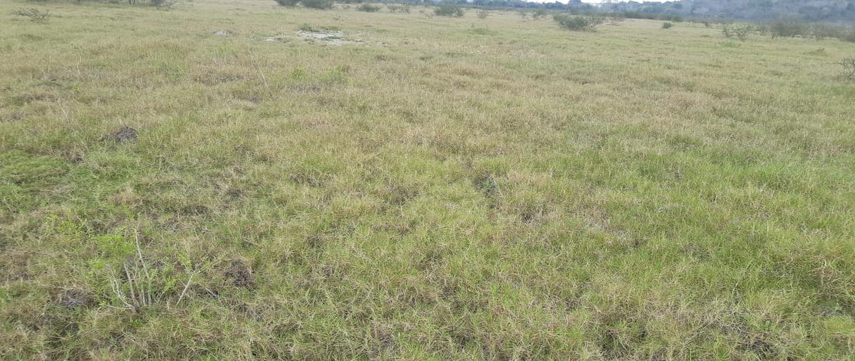 Foto de terreno comercial en venta en lote 3 topila , palacho, tampico alto, veracruz de ignacio de la llave, 0 No. 04
