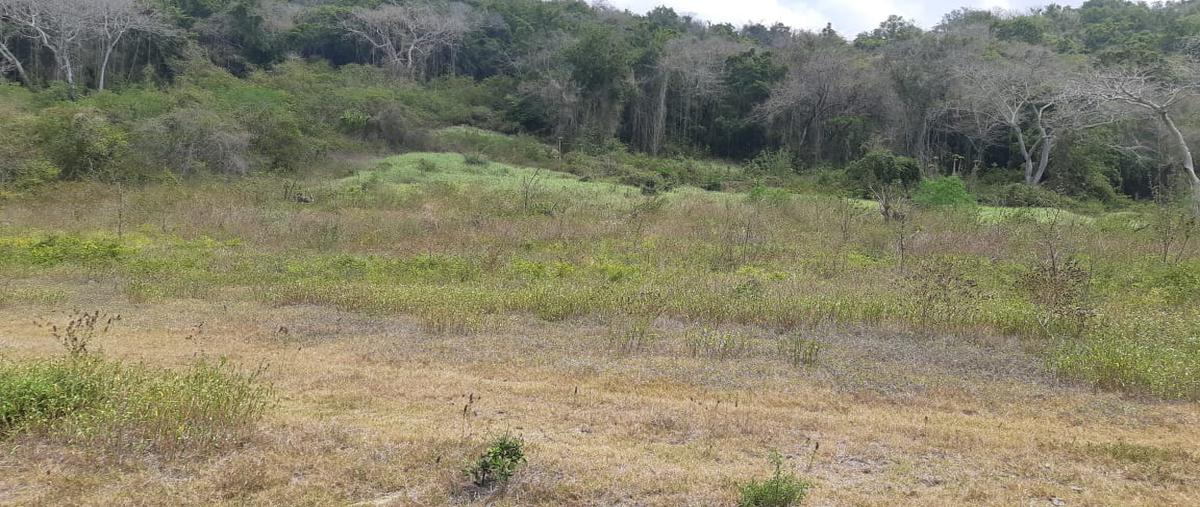 Foto de terreno comercial en venta en lote 3 topila , palacho, tampico alto, veracruz de ignacio de la llave, 0 No. 05