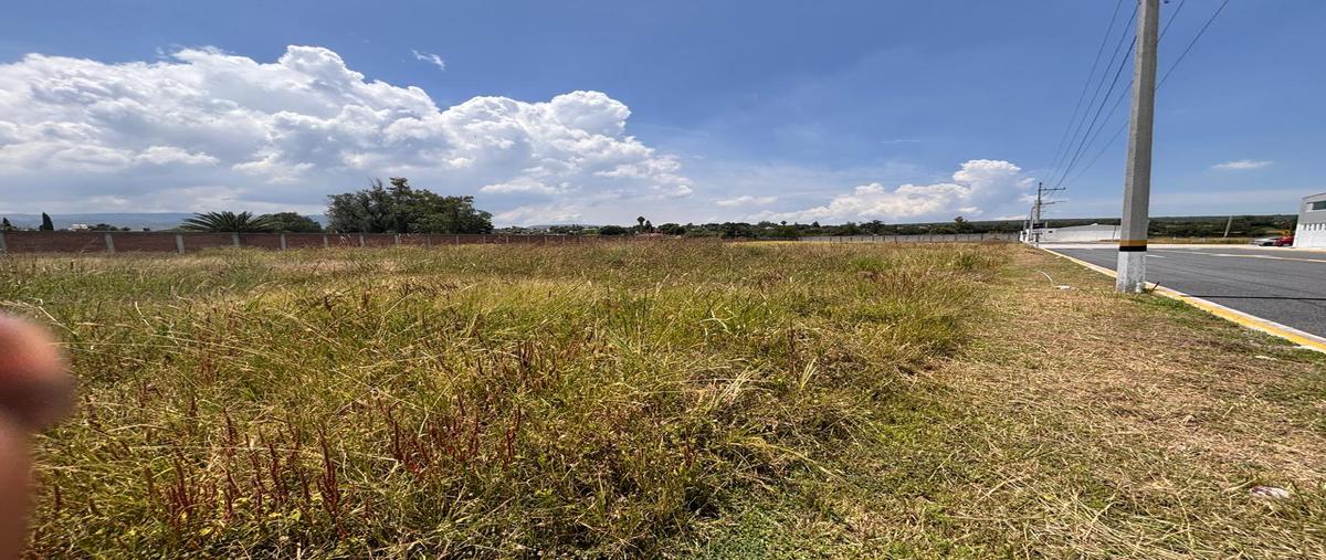 Foto de terreno industrial en venta en lote 30 , san josé agua azul, apaseo el grande, guanajuato, 0 No. 03