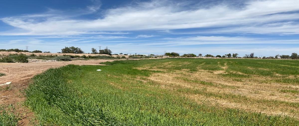 Foto de terreno industrial en venta en lote 35 manzana s/m , zaragoza, mexicali, baja california, 26377527 No. 05