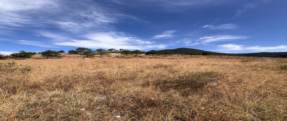 Foto de terreno habitacional en venta en lote 40 de la manzana 31 , hacienda la purísima, ixtlahuaca, méxico, 29011896 No. 04