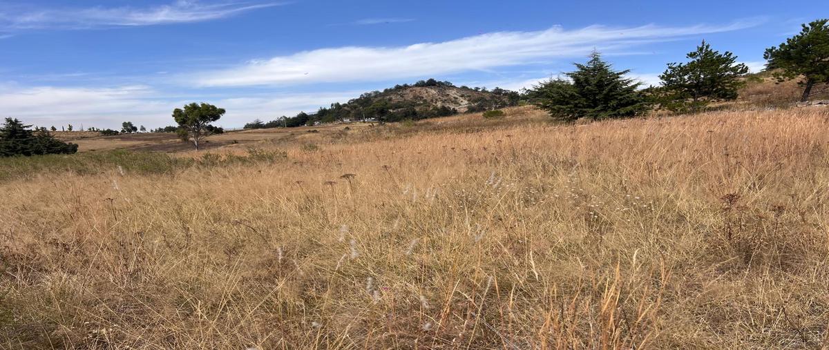 Foto de terreno habitacional en venta en lote 40 de la manzana 31 , hacienda la purísima, ixtlahuaca, méxico, 29011896 No. 05