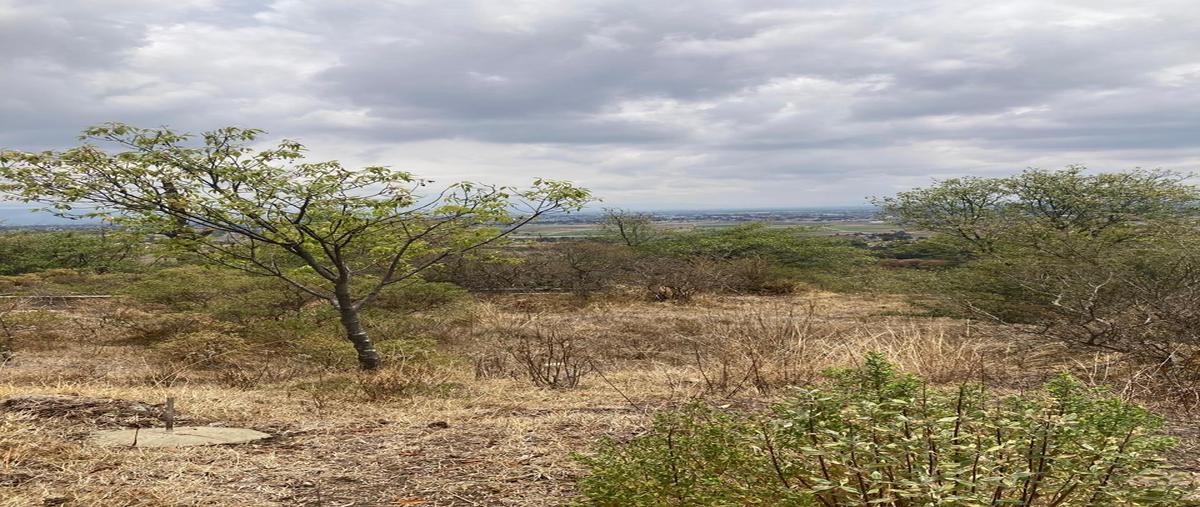 Foto de terreno habitacional en venta en lote 40 , la purísima, ixtlahuaca, méxico, 28563445 No. 03