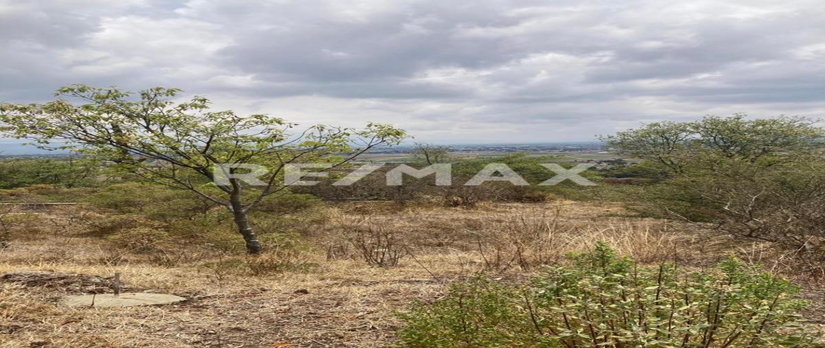 Foto de terreno habitacional en lote 40 , la purísima, ixtlahuaca, méxico, 0 foto 03 Foto de terreno habitacional en venta en lote 40 , la purísima, ixtlahuaca, méxico, 0 No. 03