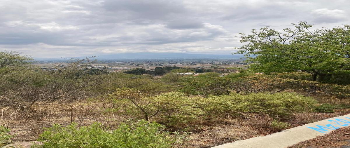 Foto de terreno habitacional en venta en lote 40 , la purísima, ixtlahuaca, méxico, 28563445 No. 04