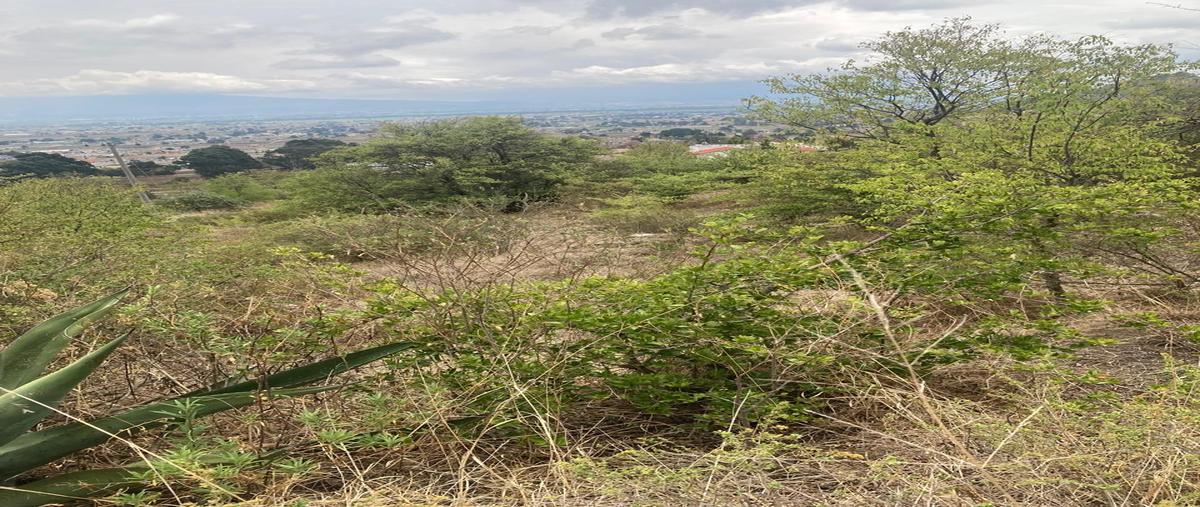 Foto de terreno habitacional en venta en lote 40 , la purísima, ixtlahuaca, méxico, 28563445 No. 05