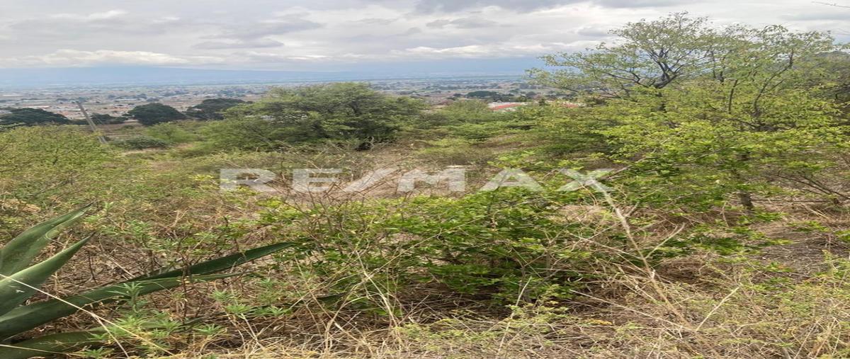 Foto de terreno habitacional en lote 40 , la purísima, ixtlahuaca, méxico, 0 foto 05 Foto de terreno habitacional en venta en lote 40 , la purísima, ixtlahuaca, méxico, 0 No. 05