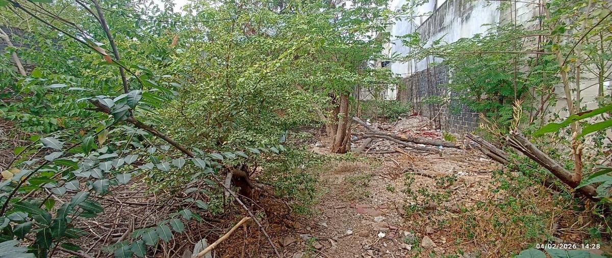 Foto de terreno habitacional en venta en lote 44, manzana 6 sección b , jardín mangos, acapulco de juárez, guerrero, 0 No. 03