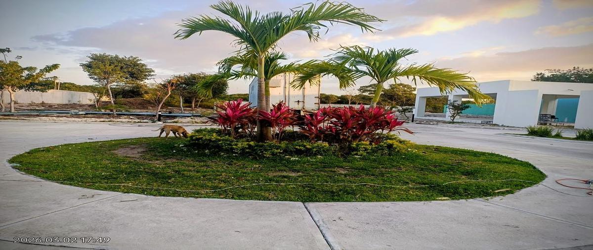 Foto de terreno habitacional en venta en lote 47 , paseo de los bosques, carmen, campeche, 30922524 No. 03