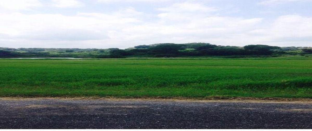 Foto de terreno comercial en venta en lote 5 manzana 002 , aldama, aldama, tamaulipas, 3302577 No. 04
