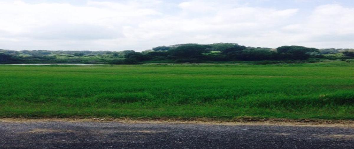 Foto de terreno comercial en venta en lote 5 manzana 002 ctv2058e , aldama, aldama, tamaulipas, 3302577 No. 04