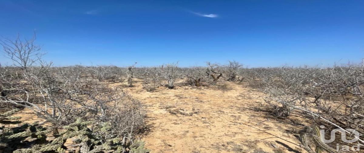Foto de terreno comercial en lote 53 , ley federal de aguas no 5, comondú, baja california sur, 28723169 foto 03 Foto de terreno comercial en venta en lote 53 , ley federal de aguas no 5, comondú, baja california sur, 28723169 No. 03