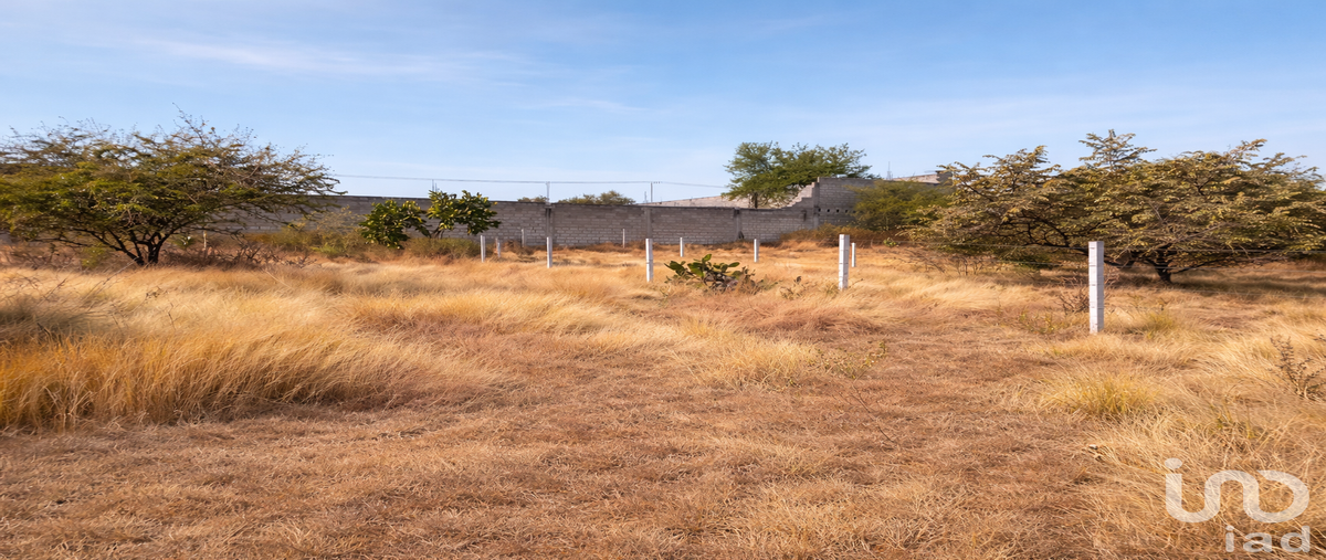 Foto de terreno habitacional en venta en lote 596, manzana 17, tercera sección, franja verde , lomas altas, puente de ixtla, morelos, 30987391 No. 05