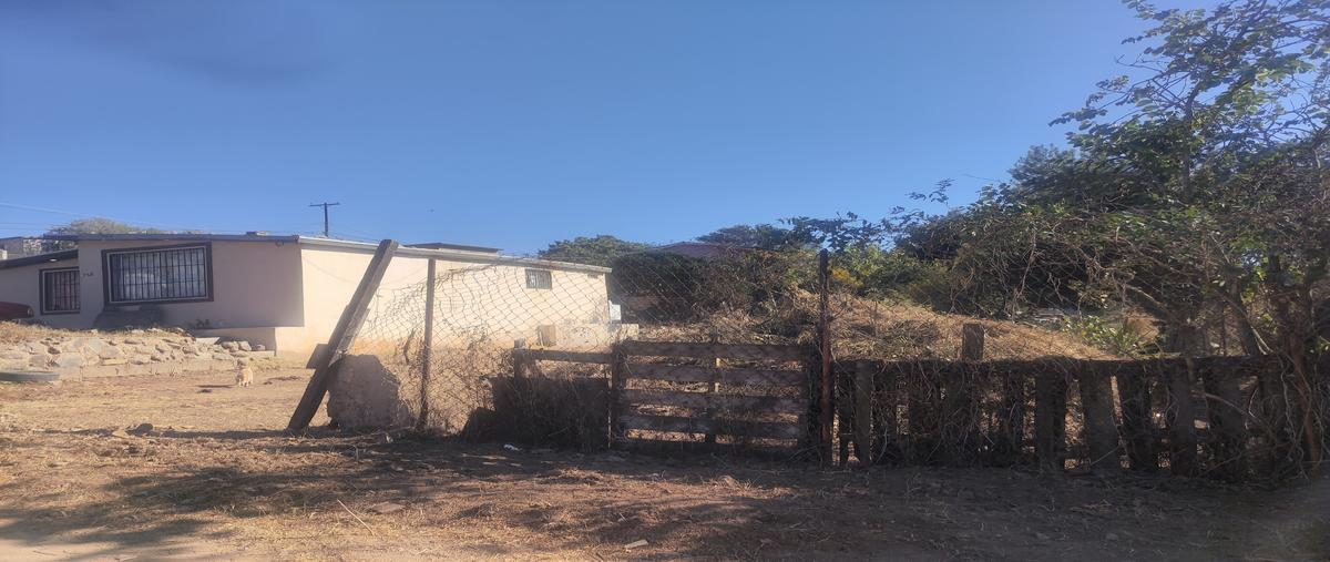 Foto de terreno habitacional en venta en lote 6 fraccionamiento a de la manzana 20 del fraccionamie , ejido ruiz cortines, ensenada, baja california, 28970436 No. 04