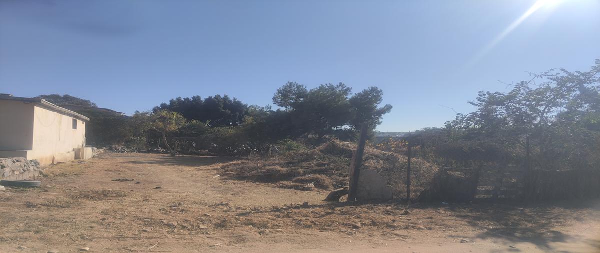Foto de terreno habitacional en venta en lote 6 fraccionamiento a de la manzana 20 del fraccionamie , ejido ruiz cortines, ensenada, baja california, 28970436 No. 05