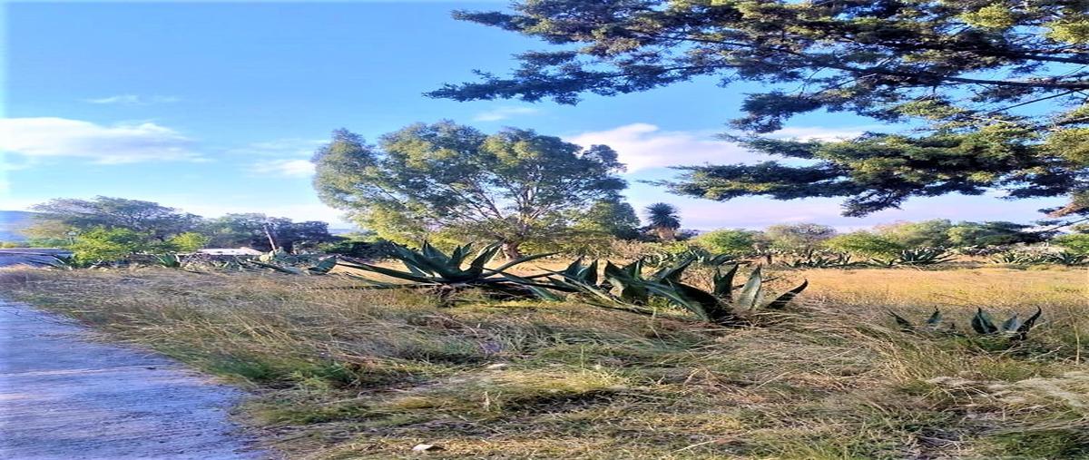 Foto de terreno habitacional en venta en lote 6 manzana 40 zona , zempoala centro, zempoala, hidalgo, 0 No. 03