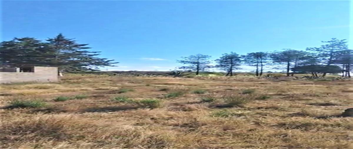 Foto de terreno habitacional en venta en lote 6 manzana 40 zona , zempoala centro, zempoala, hidalgo, 0 No. 04