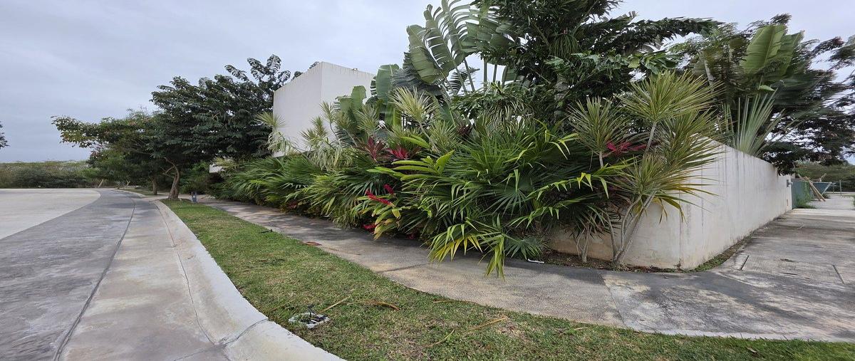 Foto de casa en lote 61 tamara , yucatán country club, mérida, yucatán, 30730575 foto 04 Foto de casa en venta en lote 61 tamara , yucatán country club, mérida, yucatán, 30730575 No. 04