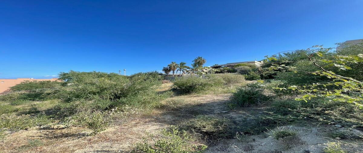 Foto de terreno habitacional en venta en lote 7 , los barriles, la paz, baja california sur, 0 No. 03