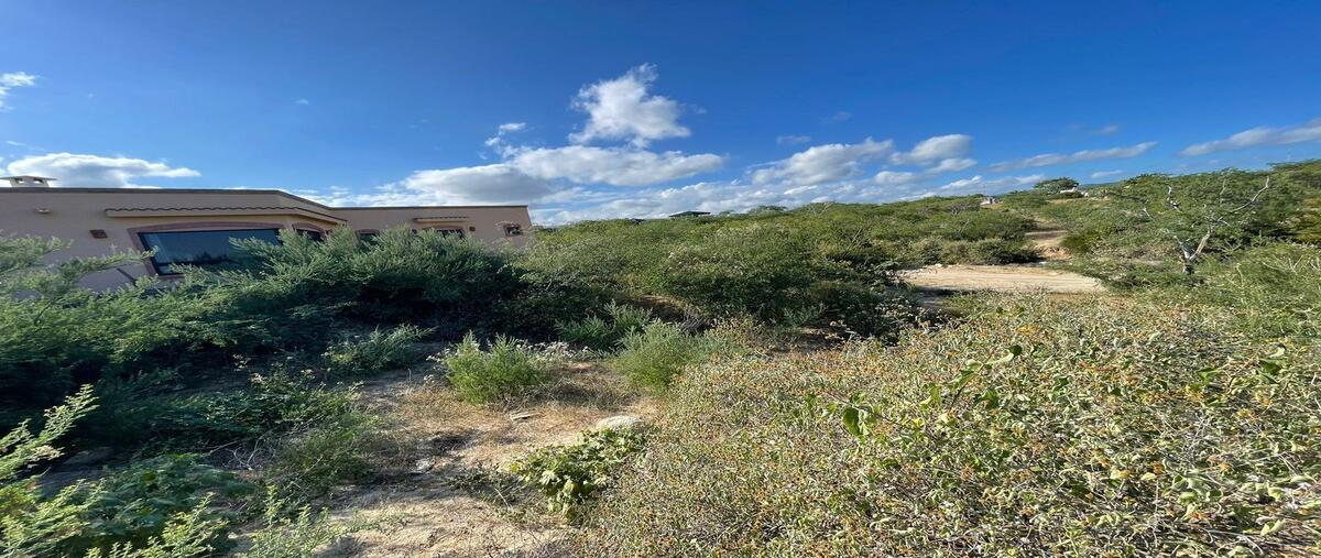 Foto de terreno habitacional en venta en lote 7 , los barriles, la paz, baja california sur, 0 No. 05