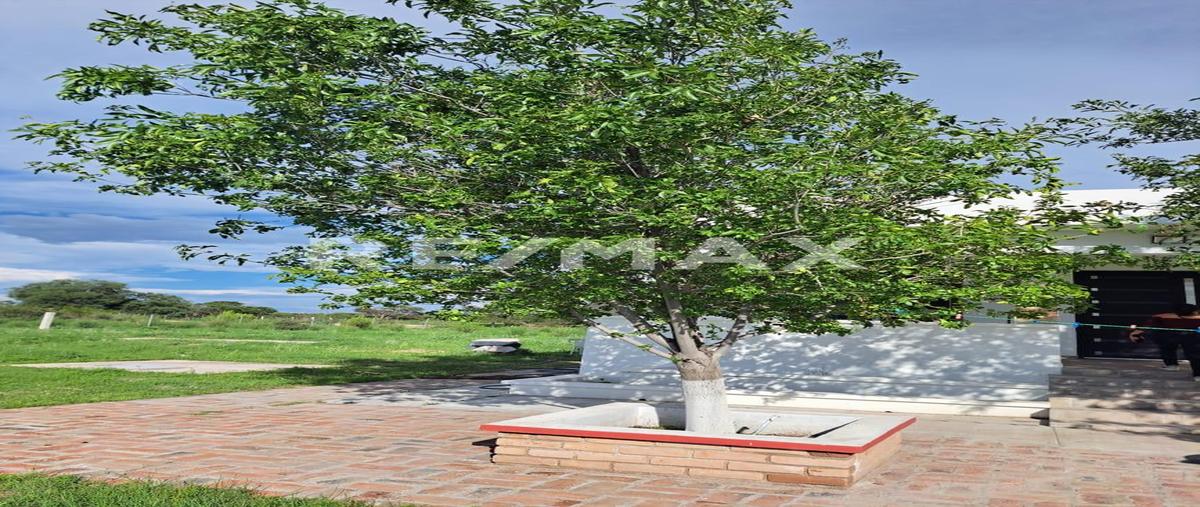 Foto de rancho en venta en lote 7 , santa cruz del río, durango, durango, 30196472 No. 05