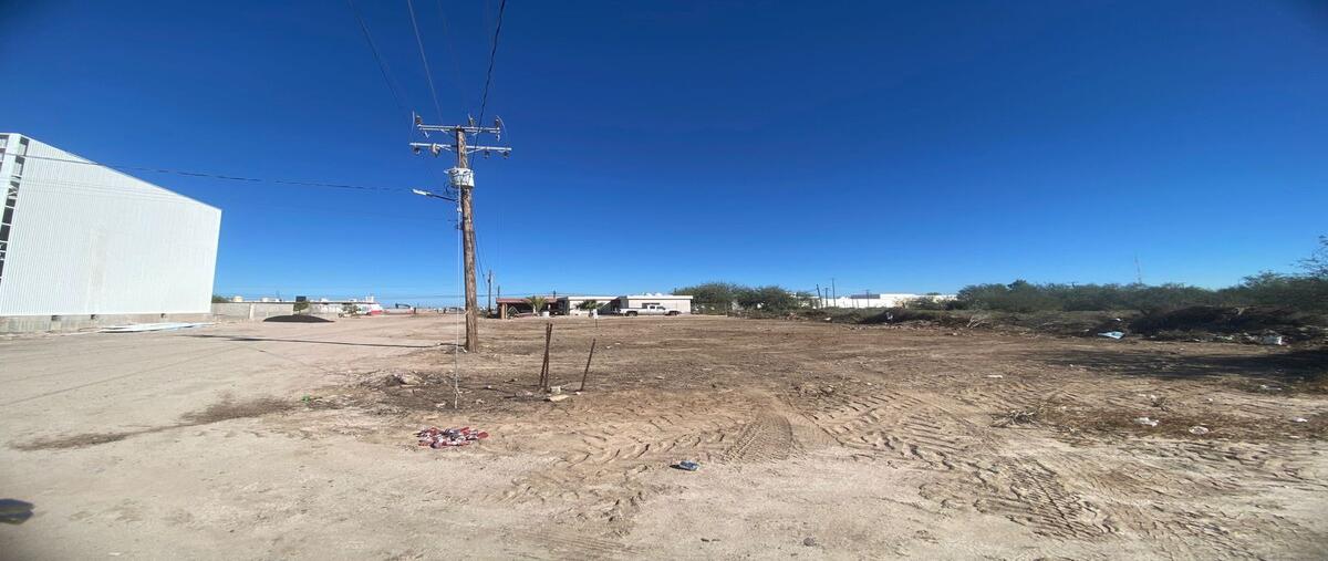 Foto de terreno habitacional en renta en lote 8 , el centenario, la paz, baja california sur, 30437040 No. 03