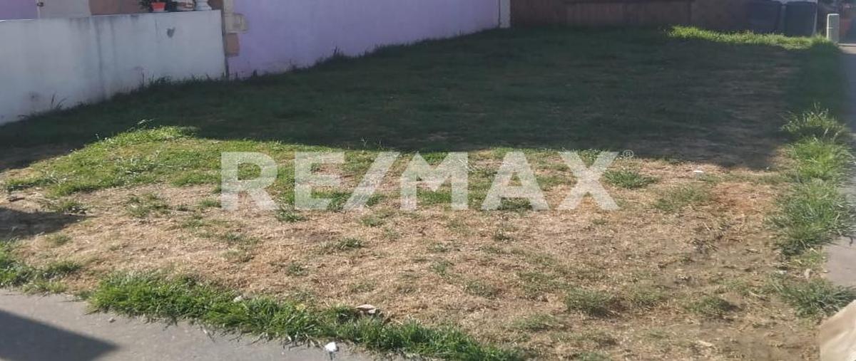 Foto de terreno comercial en renta en lote 8, manzana 5, sauces iv , los sauces iv, toluca, méxico, 0 No. 02