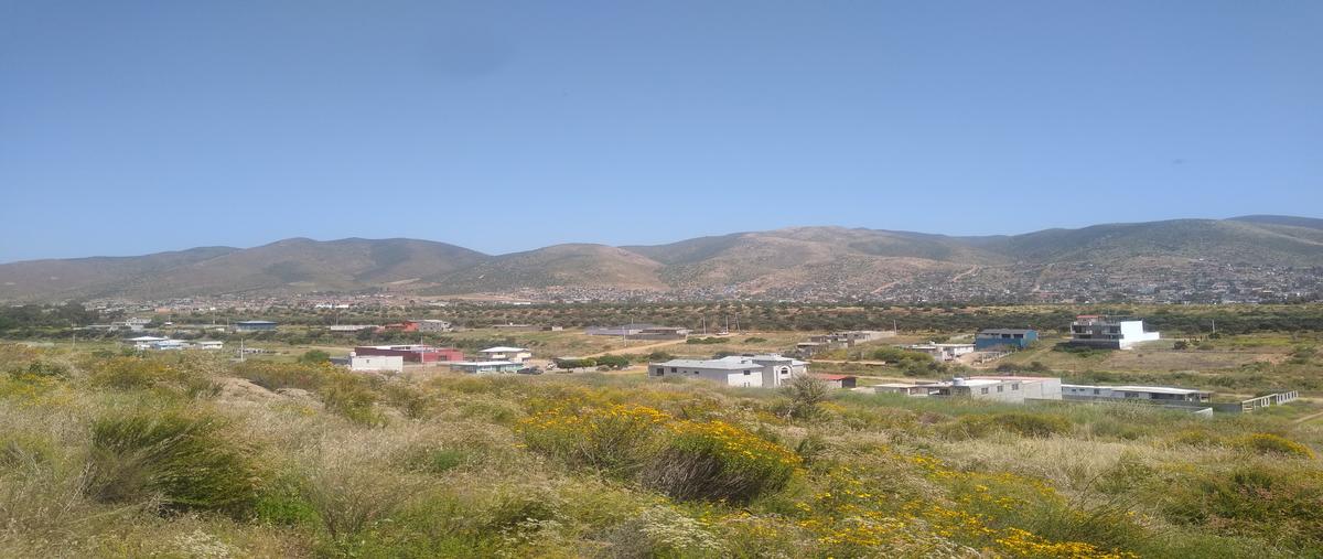 Foto de terreno habitacional en venta en lote 9 de la manzana 1 , maneadero, ensenada, baja california, 28115087 No. 05
