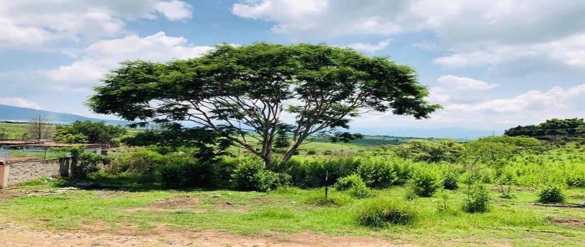 Foto de terreno habitacional en venta en lote 9-c manzana 5 , acatlan de juárez, acatlán de juárez, jalisco, 25524337 No. 04