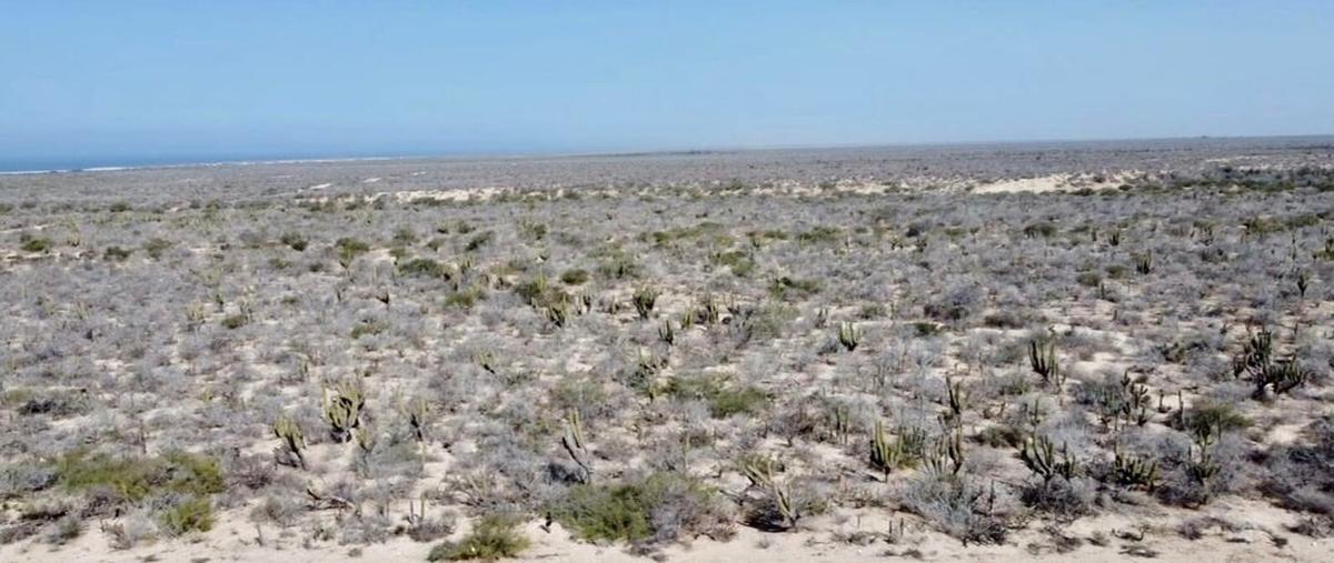Foto de terreno habitacional en venta en lote agua blanca 69 , melitón albáñez domínguez, la paz, baja california sur, 28407422 No. 04