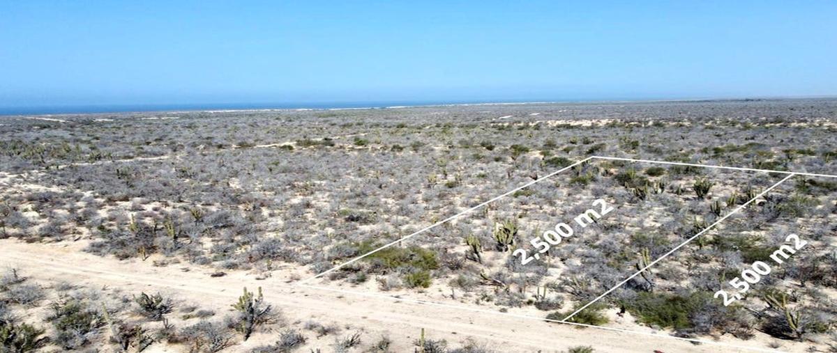 Foto de terreno habitacional en venta en lote agua blanca 70 , melitón albáñez domínguez, la paz, baja california sur, 28407429 No. 03