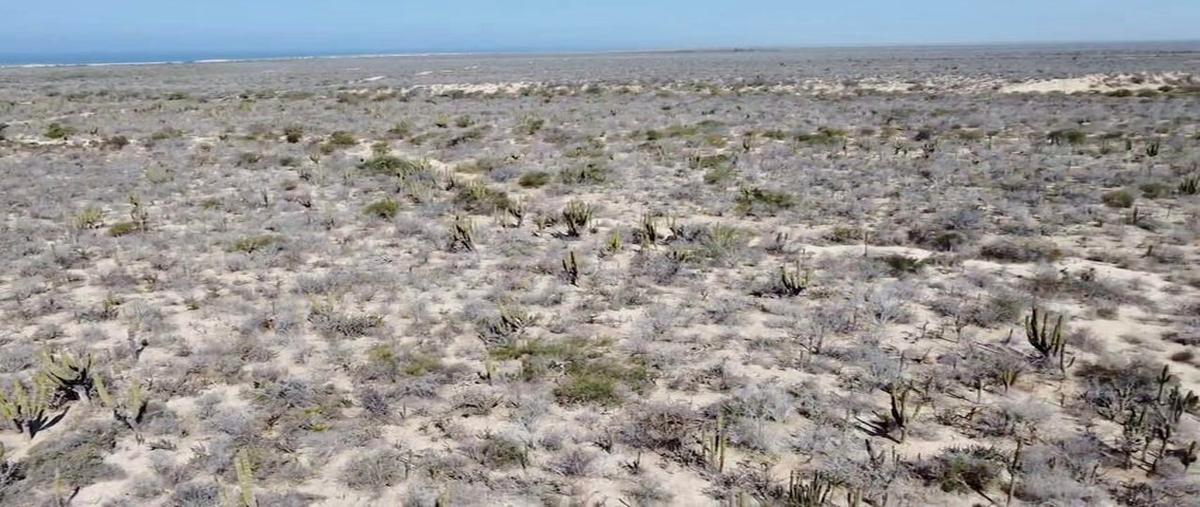 Foto de terreno habitacional en venta en lote agua blanca 70 , melitón albáñez domínguez, la paz, baja california sur, 28407429 No. 05