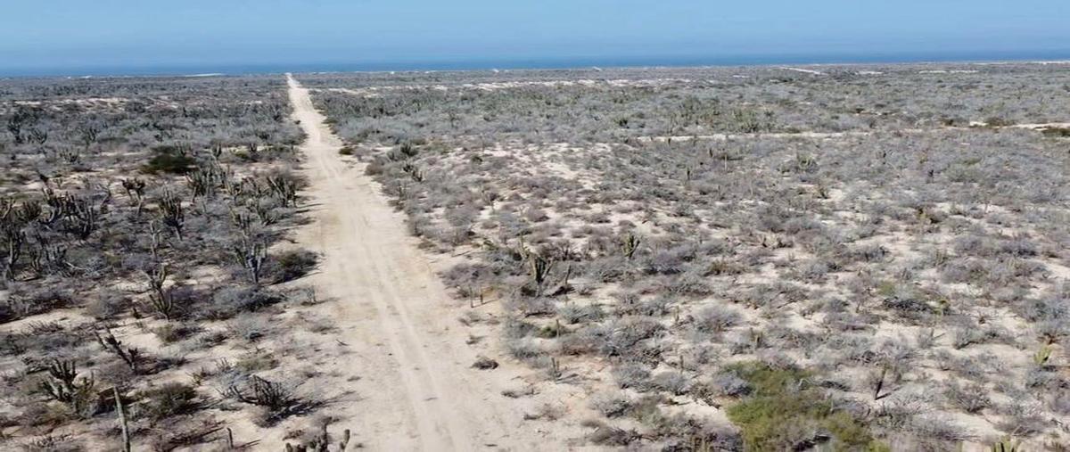 Foto de terreno habitacional en venta en lote agua blanca 70 , melitón albáñez domínguez, la paz, baja california sur, 28407429 No. 07