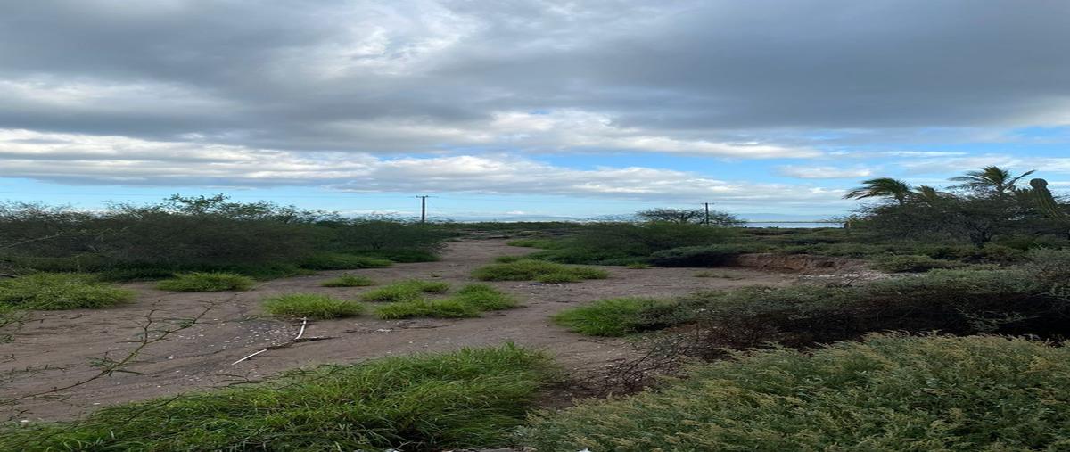 Foto de terreno habitacional en venta en lote , comitán, la paz, baja california sur, 25839135 No. 03