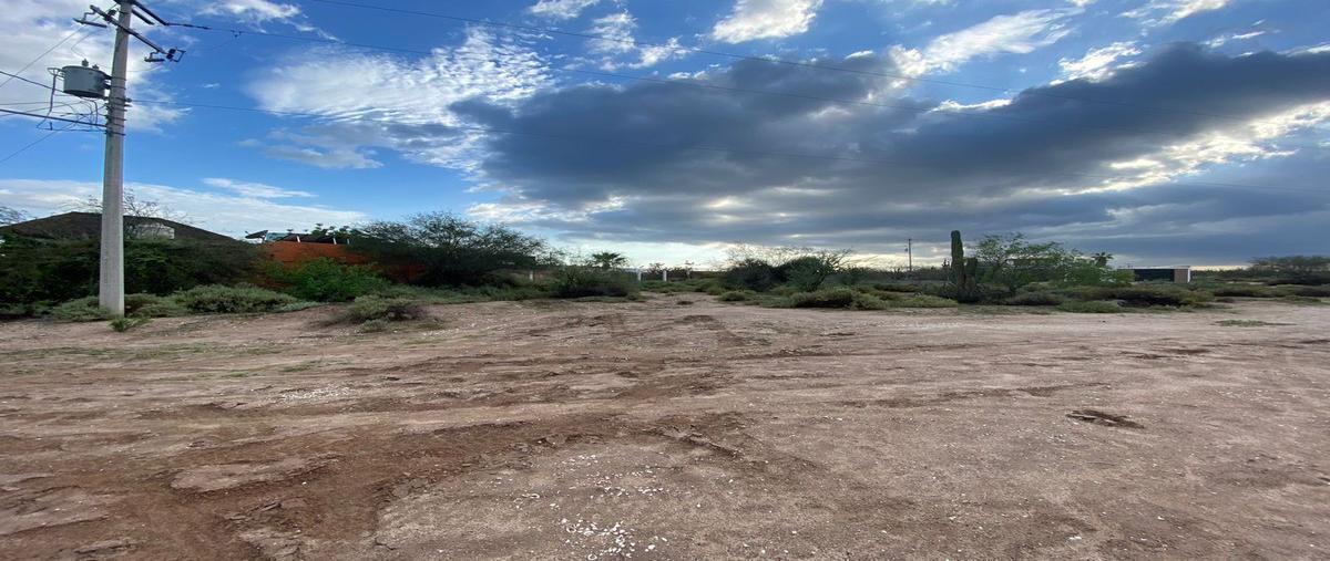 Foto de terreno habitacional en venta en lote , comitán, la paz, baja california sur, 25839135 No. 04