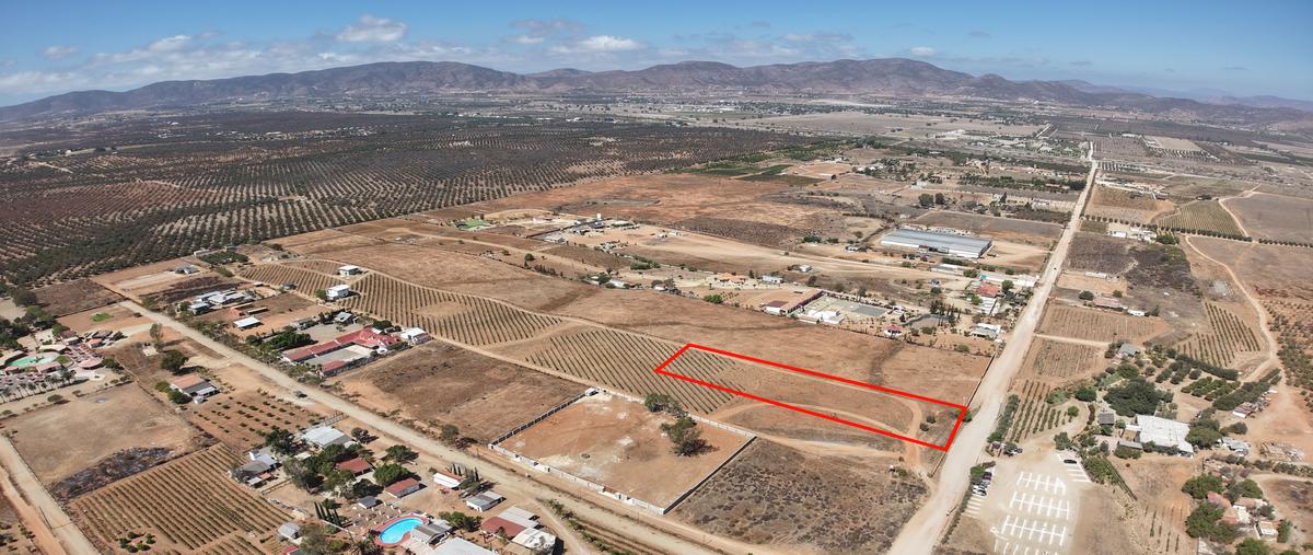 Foto de terreno habitacional en venta en lote e-2 y e-3 de la manzana s/m , francisco zarco (valle de guadalupe), ensenada, baja california, 31838666 No. 03