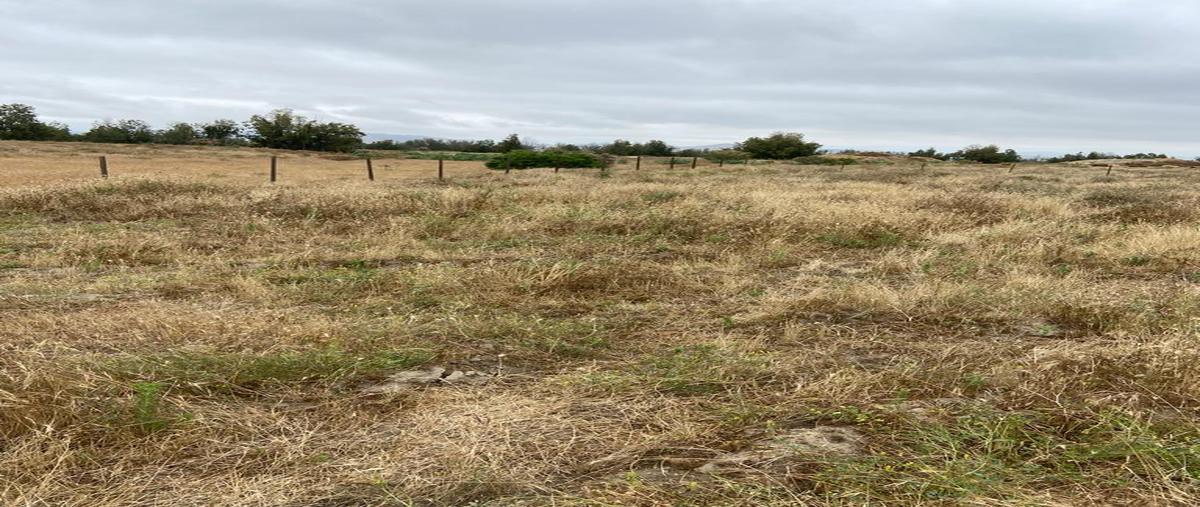 Foto de terreno habitacional en venta en lote , el porvenir, ensenada, baja california, 26570230 No. 04