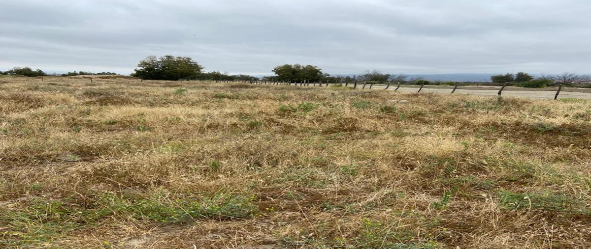 Foto de terreno habitacional en venta en lote , el porvenir, ensenada, baja california, 26570230 No. 05