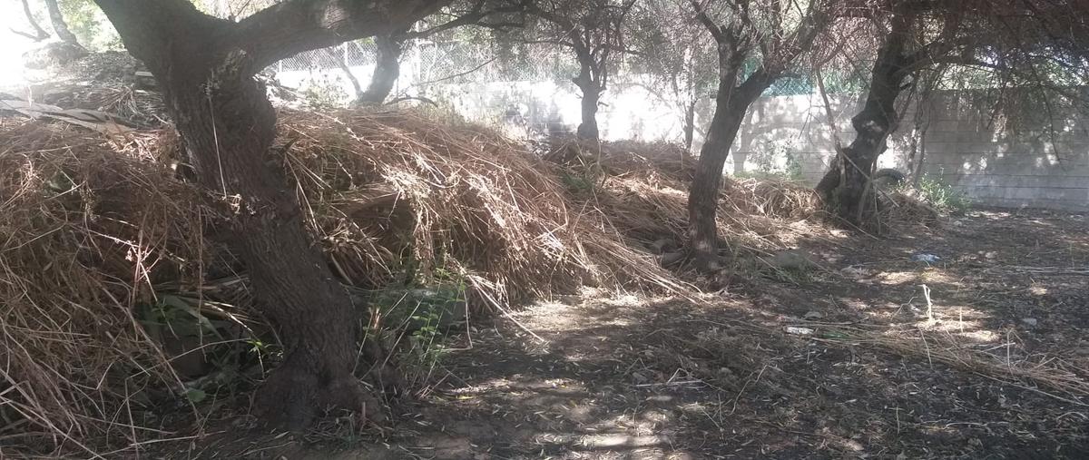 Foto de terreno habitacional en venta en lote frac.b de fraccion de terreno ii de fraccion , bronce, ensenada, baja california, 27206372 No. 05