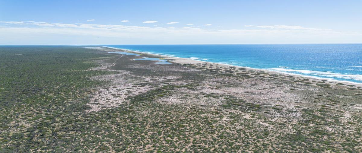 Foto de terreno habitacional en venta en lote janny, entre los inocentes y tepetate, la paz , melitón albáñez domínguez, la paz, baja california sur, 29550595 No. 03