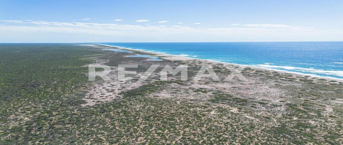 Foto de terreno habitacional en venta en lote janny, entre los inocentes y tepetate, la paz , melitón albáñez domínguez, la paz, baja california sur, 0 No. 03