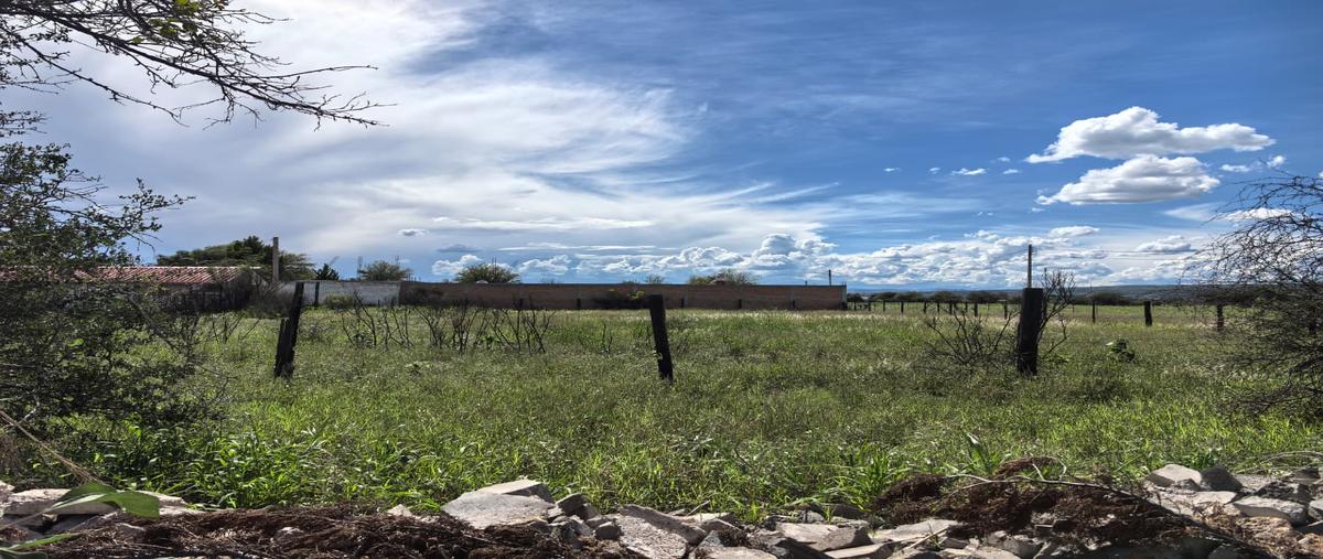 Foto de terreno habitacional en venta en lote , labor de guadalupe, durango, durango, 0 No. 03