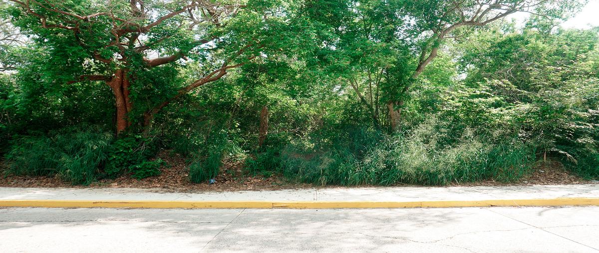 Foto de terreno comercial en venta en lote las pilas , tampico alto centro, tampico alto, veracruz de ignacio de la llave, 25738443 No. 05