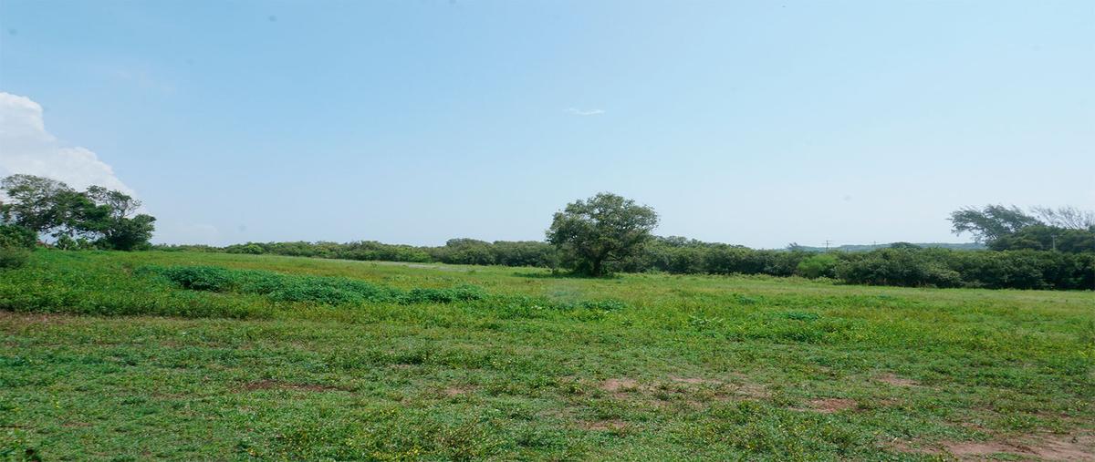 Foto de terreno comercial en venta en lote las pilas , tampico alto centro, tampico alto, veracruz de ignacio de la llave, 25749034 No. 04