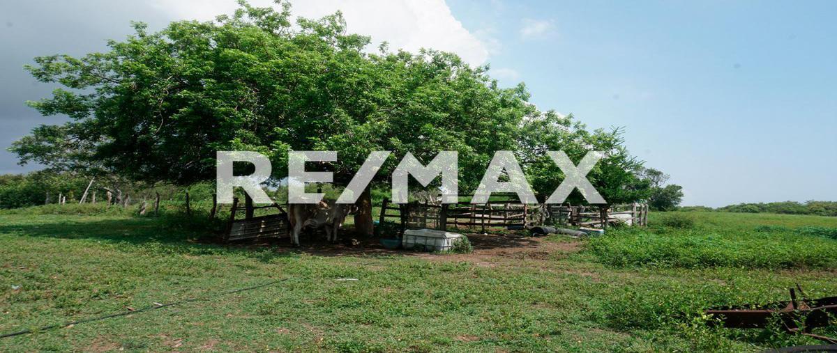 Foto de terreno habitacional en venta en lote las pilas , tampico alto centro, tampico alto, veracruz de ignacio de la llave, 0 No. 05