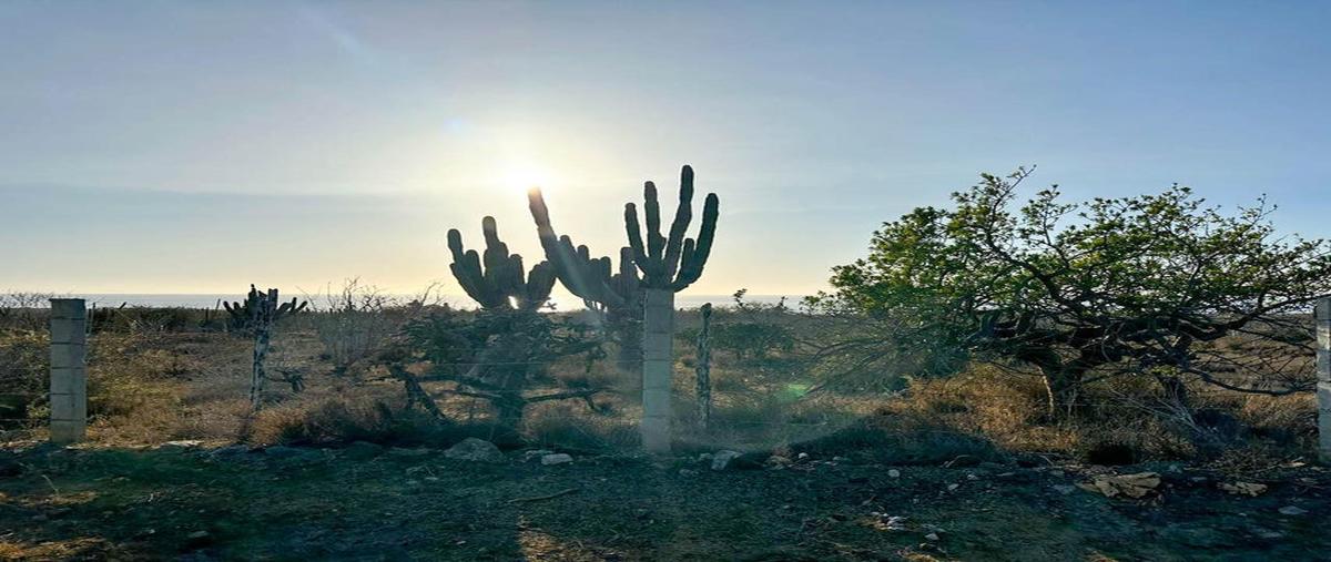 Foto de terreno habitacional en venta en lote migriño lot 1 manzana 9 , el pescadero, la paz, baja california sur, 29039854 No. 03