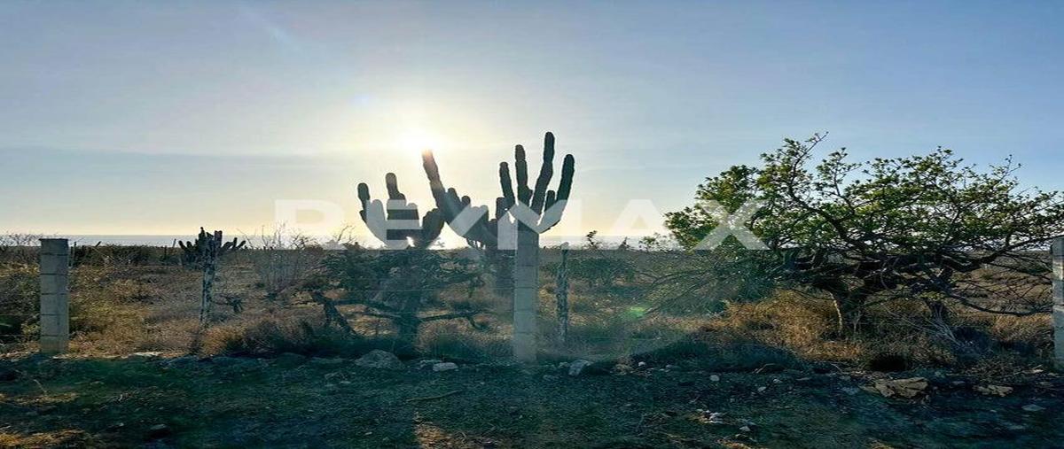 Foto de terreno habitacional en lote migriño lot 1 manzana 9 , el pescadero, la paz, baja california sur, 0 foto 03 Foto de terreno habitacional en venta en lote migriño lot 1 manzana 9 , el pescadero, la paz, baja california sur, 0 No. 03