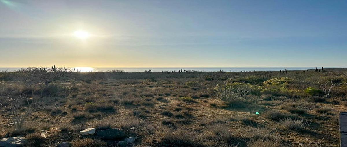 Foto de terreno habitacional en venta en lote migriño lot 1 manzana 9 , el pescadero, la paz, baja california sur, 29039854 No. 04