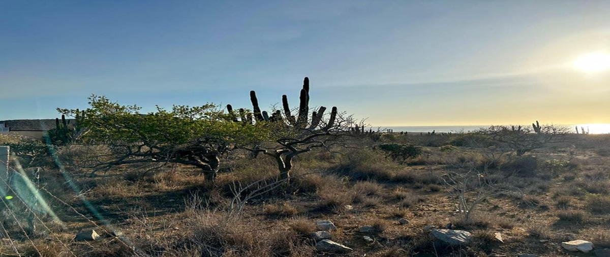 Foto de terreno habitacional en venta en lote migriño lot 1 manzana 9 , el pescadero, la paz, baja california sur, 29039854 No. 05