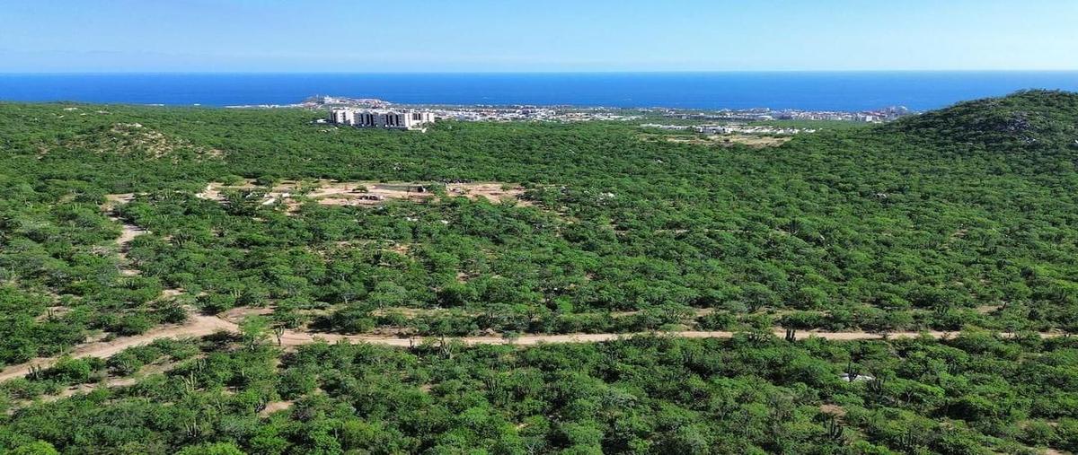 Foto de terreno habitacional en venta en lote para desarrollador 262 a-b , el tezal, los cabos, baja california sur, 27531112 No. 03